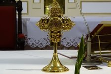 Wprowadzenie relikwii św. M. M. Kolbego